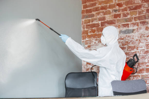 Best Environmental Consulting for Mold Prevention  in Bainbridge, GA