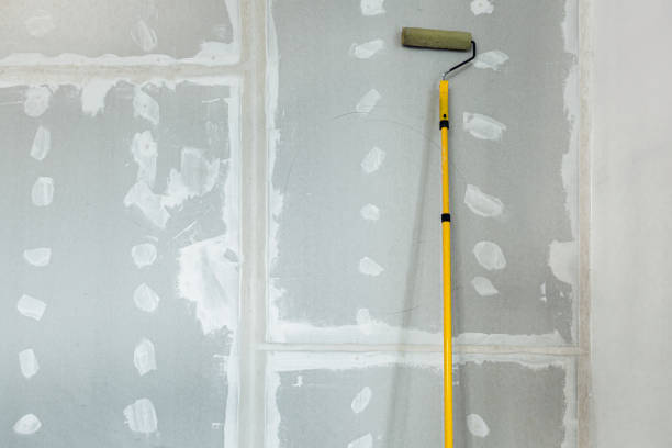 Best Basement Mold Removal  in Bainbridge, GA