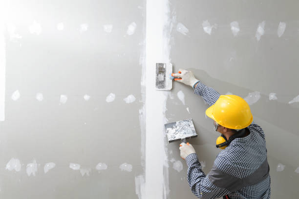 Best Mold Damage Restoration  in Bainbridge, GA
