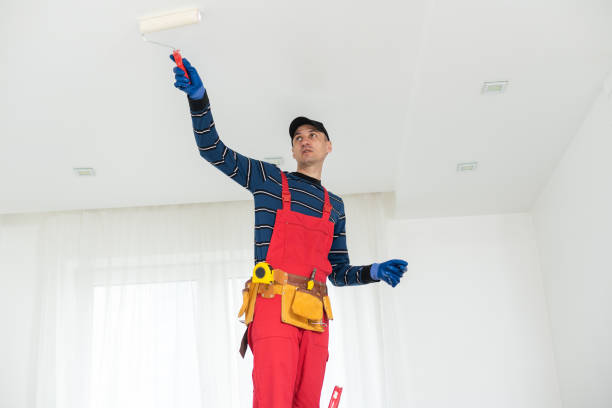 Best Post-Construction Mold Inspection  in Bainbridge, GA