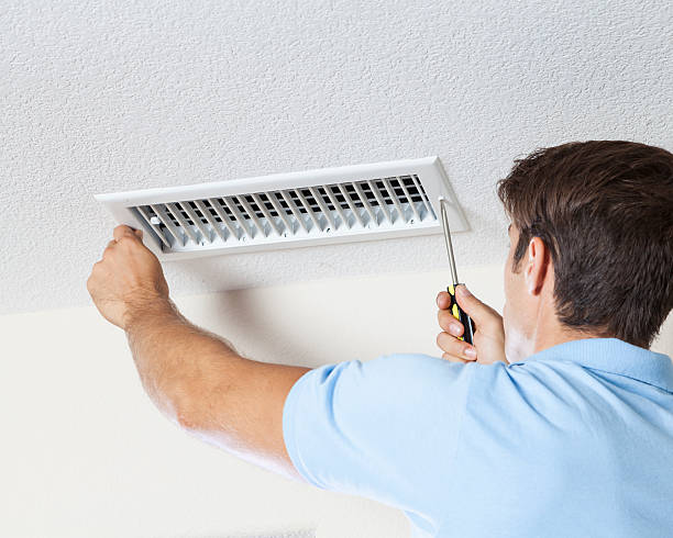 Best Industrial Mold Remediation  in Bainbridge, GA