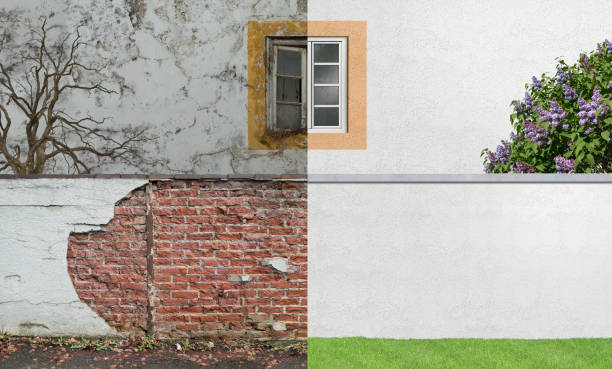 Best Forensic Mold Investigation  in Bainbridge, GA