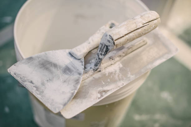 Best Mold Documentation for Insurance Claims  in Bainbridge, GA