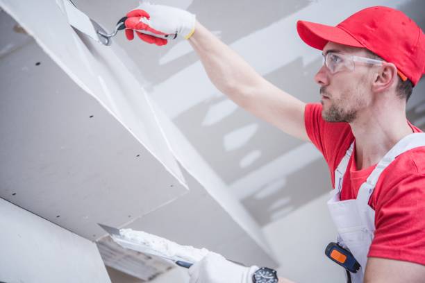 Mold Odor Removal Services in Bainbridge, GA